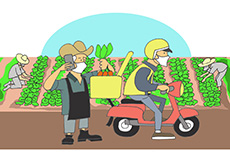  Ilustração mostra, em primeiro plano, um produtor agrícola com celular na mão, enquanto coloca cenouras no baú de uma motocicleta. Na direção da moto, está o entregador, usando roupa cinza, colete e capacete amarelos. Ao fundo, duas pessoas trabalham em plantação de verduras.